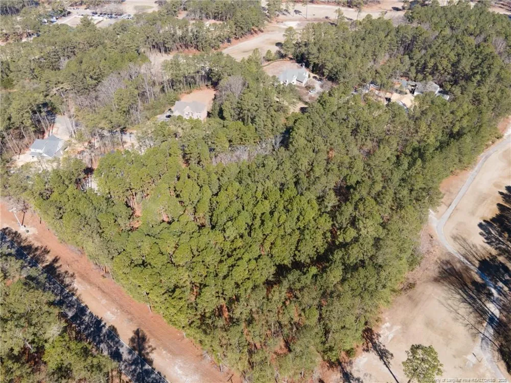#4 Caddie Court Wagram, NC 28396