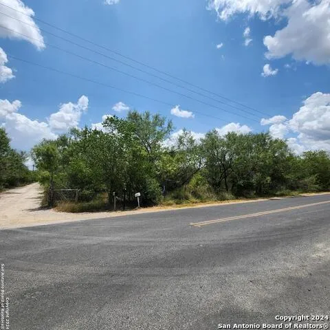 14096 GREENWOOD RD Atascosa, TX 78002