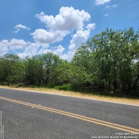 14096 GREENWOOD RD Atascosa, TX 78002
