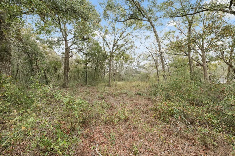 16308 SHADY HILLS ROAD Spring Hill, FL 34610