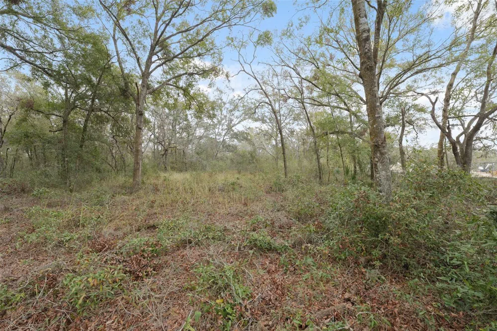 16308 SHADY HILLS ROAD Spring Hill, FL 34610