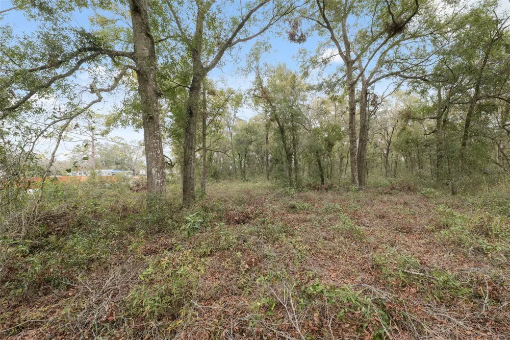 16308 SHADY HILLS ROAD Spring Hill, FL 34610