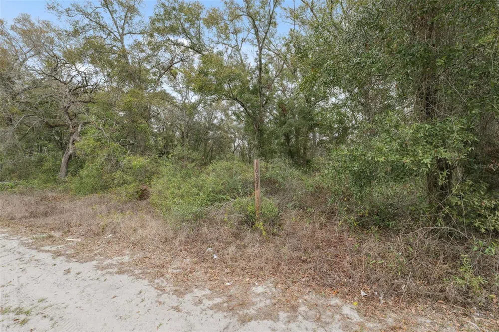 16308 SHADY HILLS ROAD Spring Hill, FL 34610