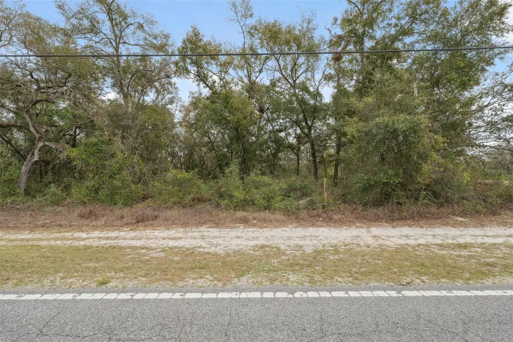16308 SHADY HILLS ROAD Spring Hill, FL 34610