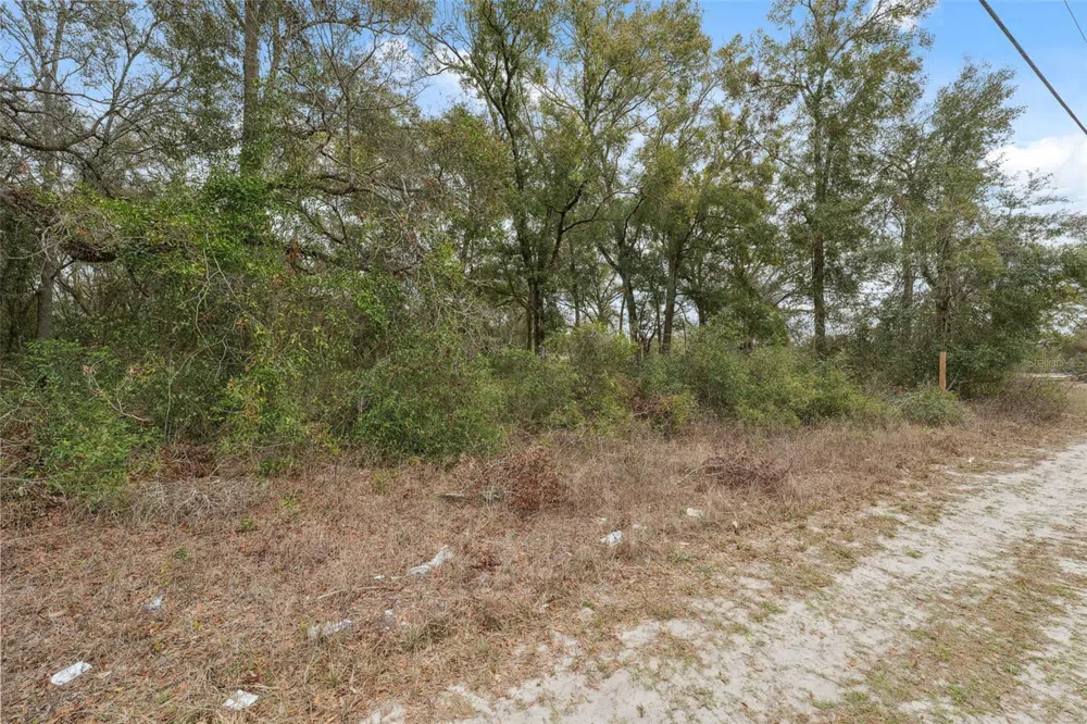 16308 SHADY HILLS ROAD Spring Hill, FL 34610