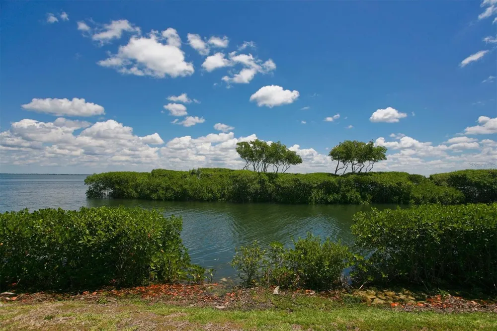 1930 HARBOURSIDE DRIVE #134 Longboat Key, FL 34228
