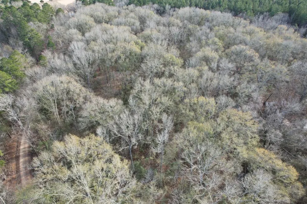 County Road 4037 Timpson, TX 75975