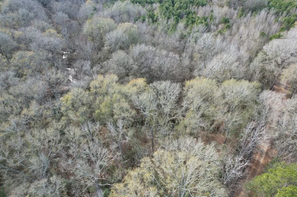 County Road 4037 Timpson, TX 75975