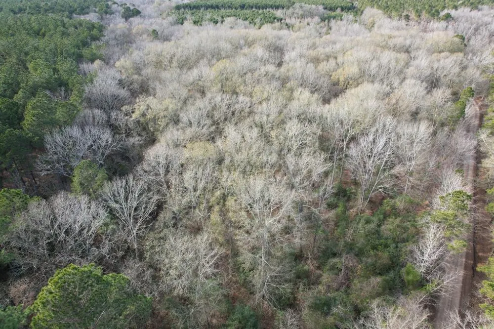 County Road 4037 Timpson, TX 75975