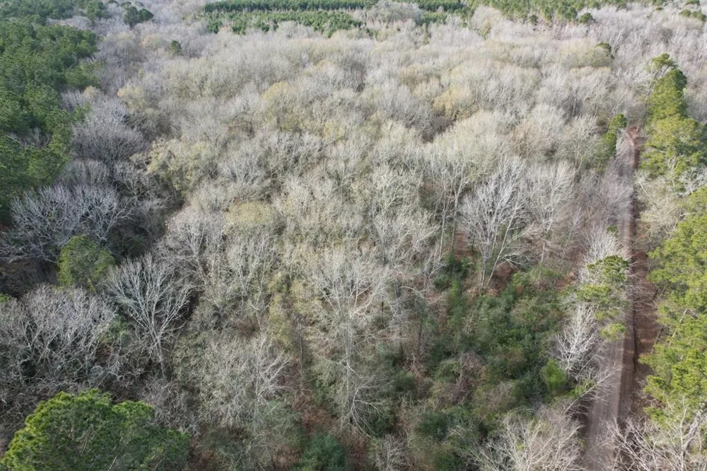 County Road 4037 Timpson, TX 75975
