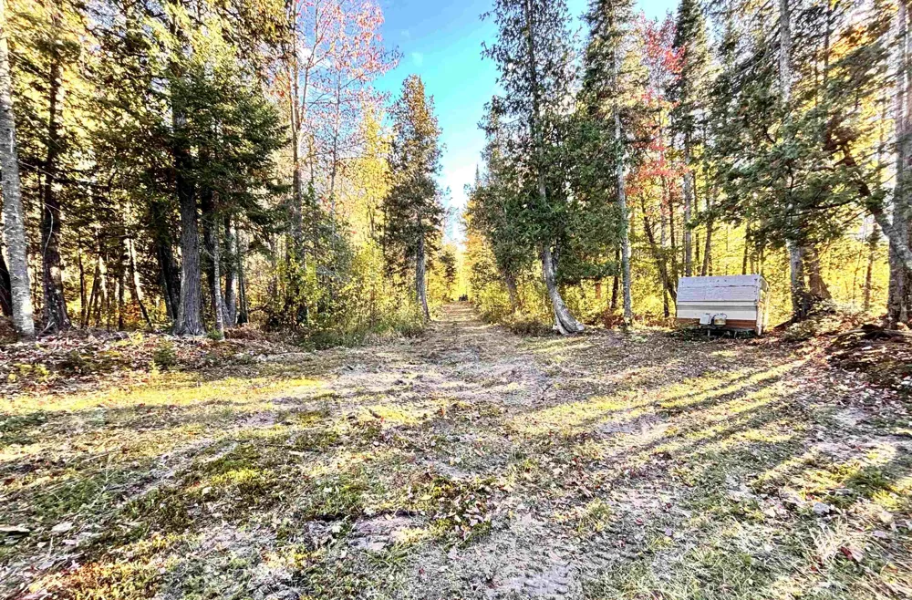 Keweenaw Pass Road Torch Lake Township, MI 49945