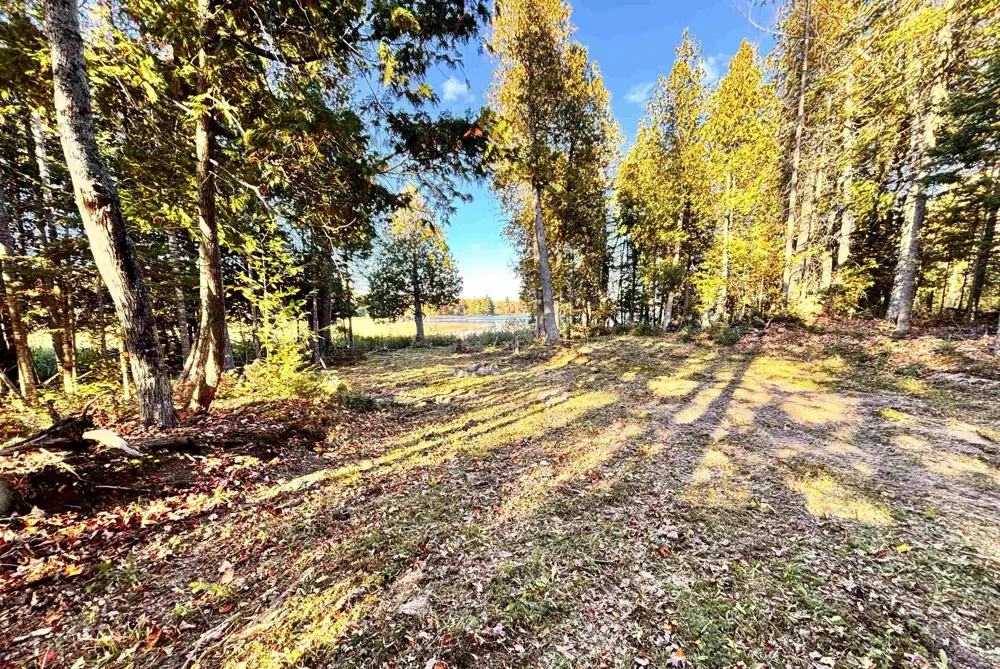Keweenaw Pass Road Torch Lake Township, MI 49945