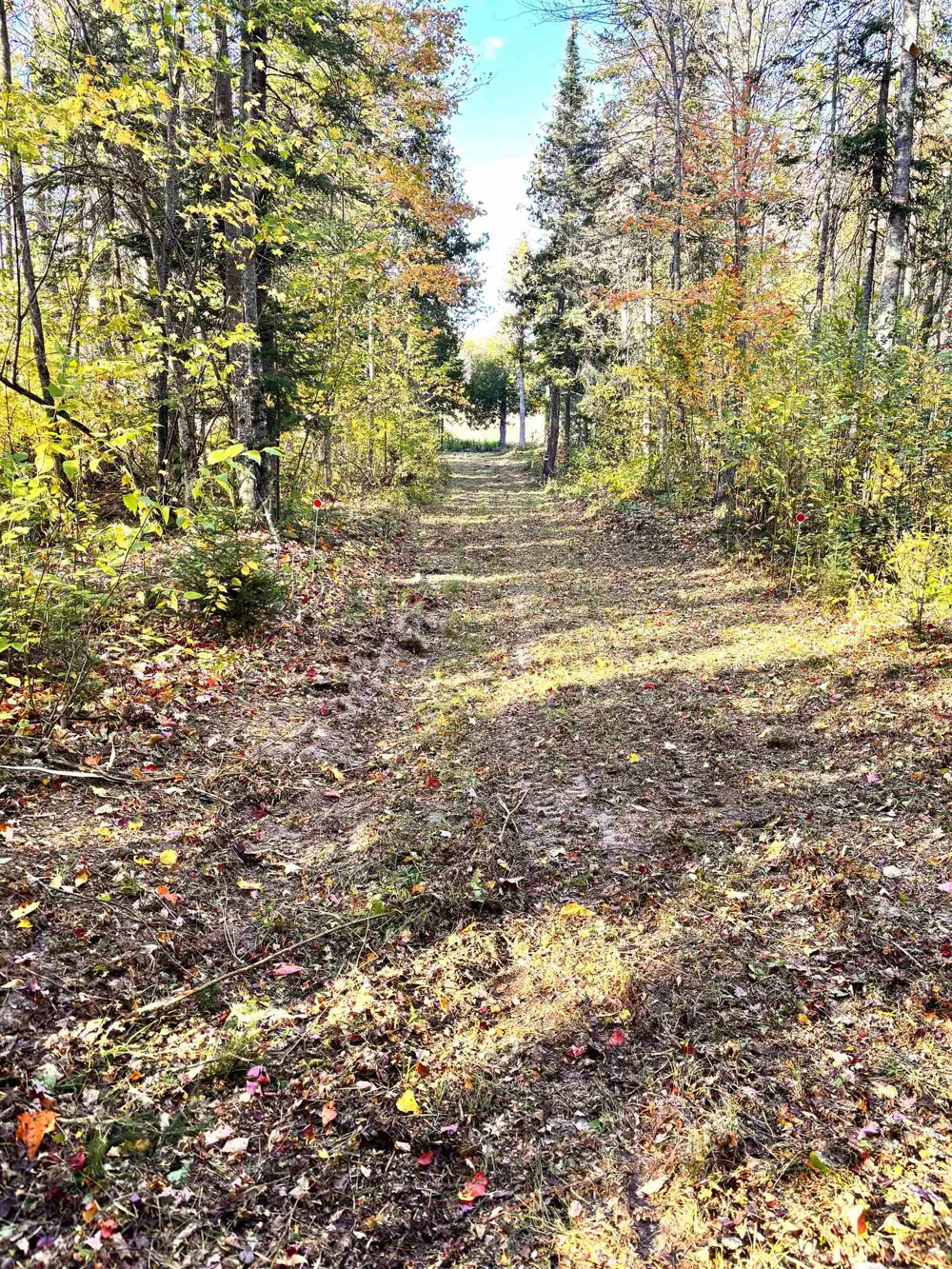 Keweenaw Pass Road Torch Lake Township, MI 49945