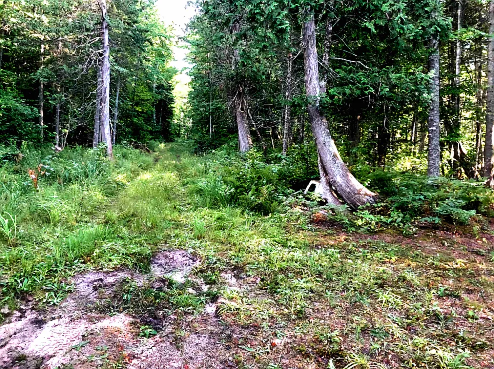 Keweenaw Pass Road Torch Lake Township, MI 49945