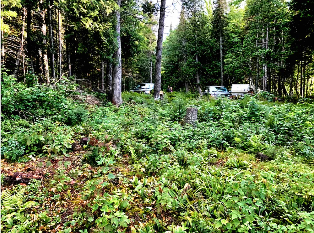 Keweenaw Pass Road Torch Lake Township, MI 49945