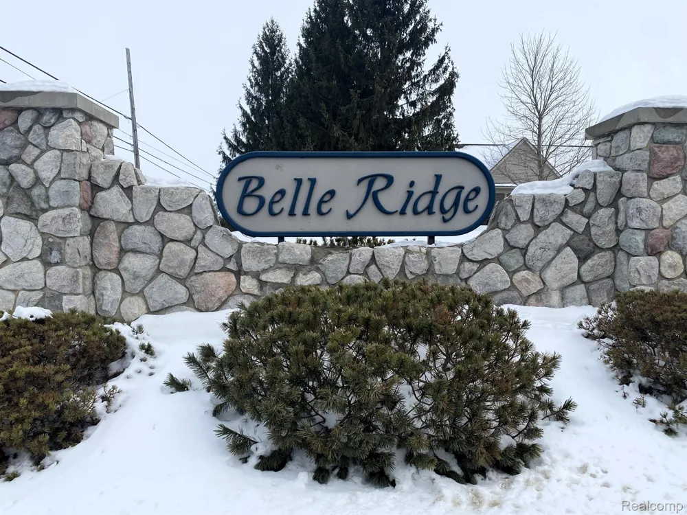 4171 BELLE RIDGE DRIVE Dryden Township, MI 48428