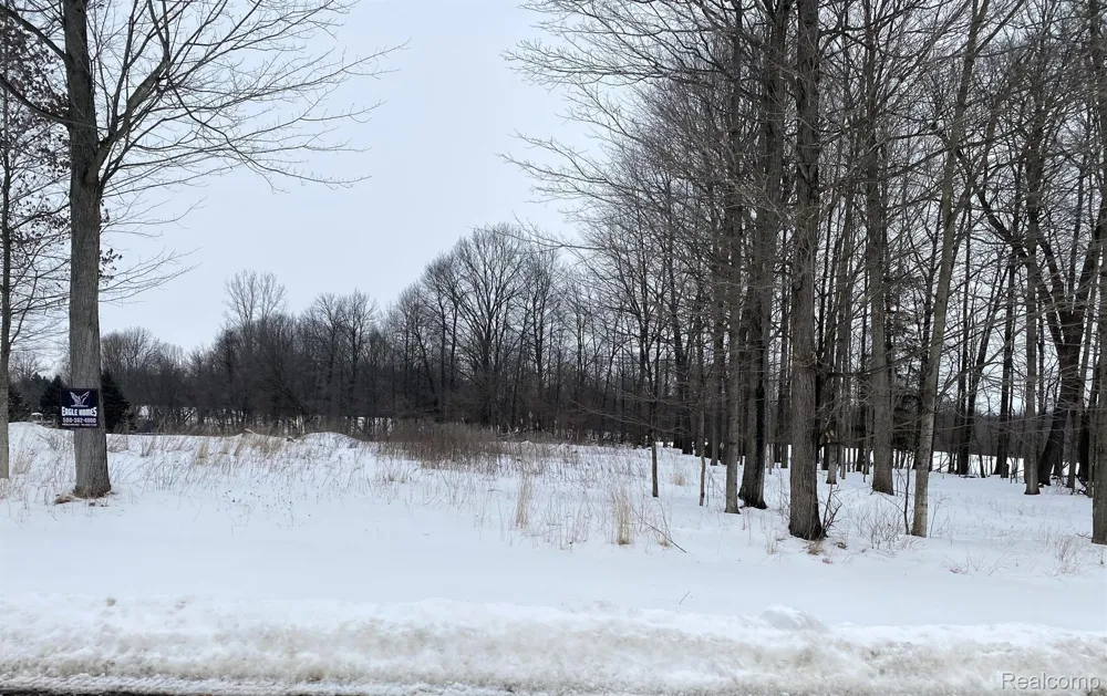 4171 BELLE RIDGE DRIVE Dryden Township, MI 48428