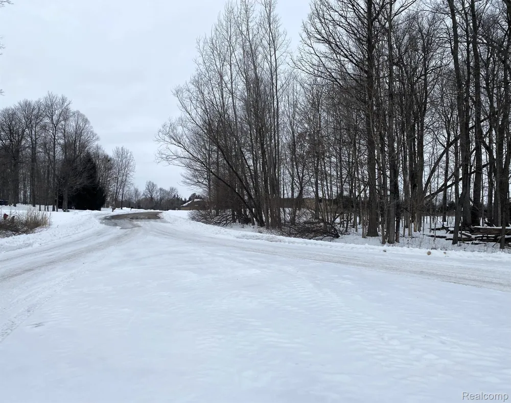 4171 BELLE RIDGE DRIVE Dryden Township, MI 48428