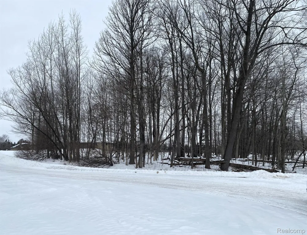 4171 BELLE RIDGE DRIVE Dryden Township, MI 48428