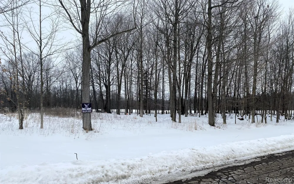 4171 BELLE RIDGE DRIVE Dryden Township, MI 48428