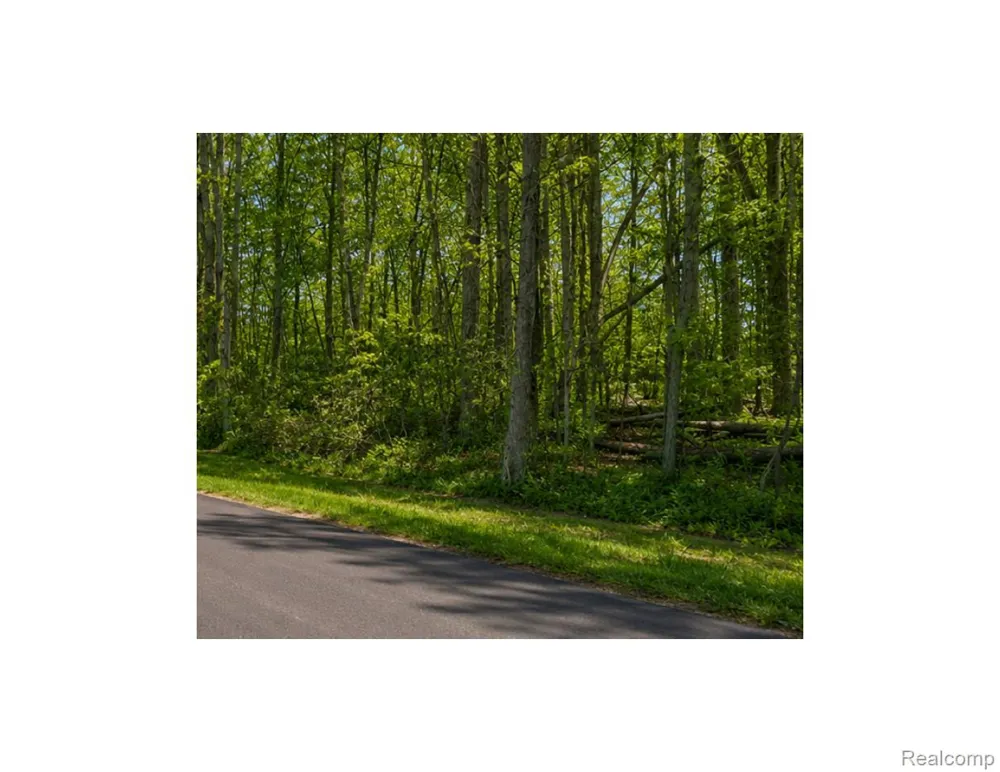 4171 BELLE RIDGE DRIVE Dryden Township, MI 48428