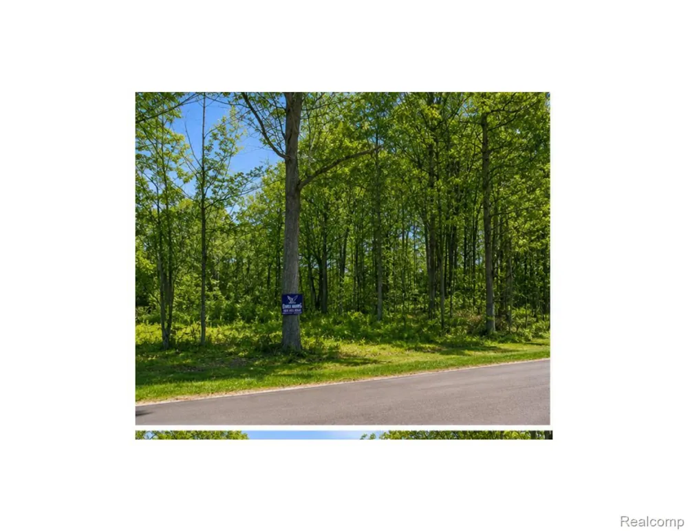 4171 BELLE RIDGE DRIVE Dryden Township, MI 48428