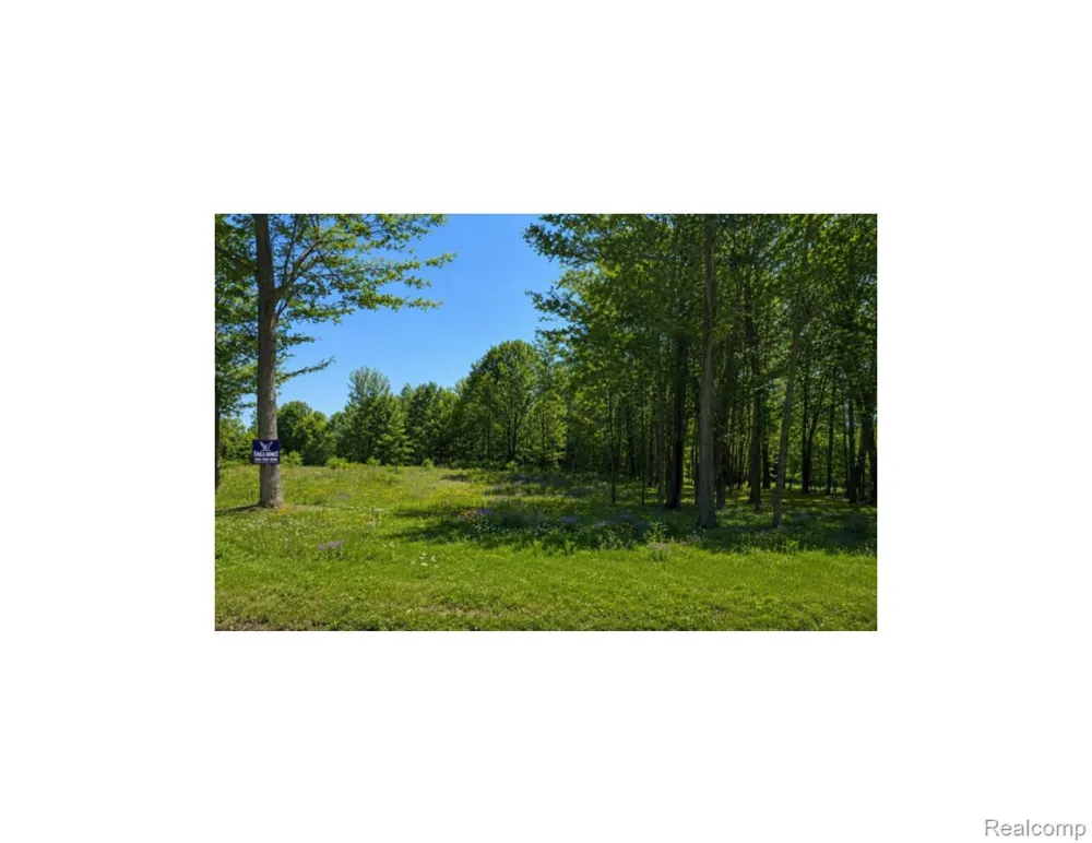 4171 BELLE RIDGE DRIVE Dryden Township, MI 48428