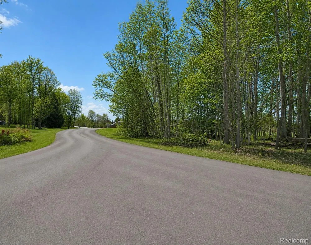 4171 BELLE RIDGE DRIVE Dryden Township, MI 48428