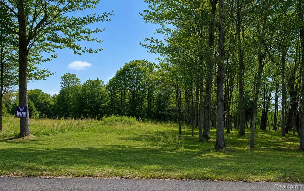4171 BELLE RIDGE DRIVE Dryden Township, MI 48428