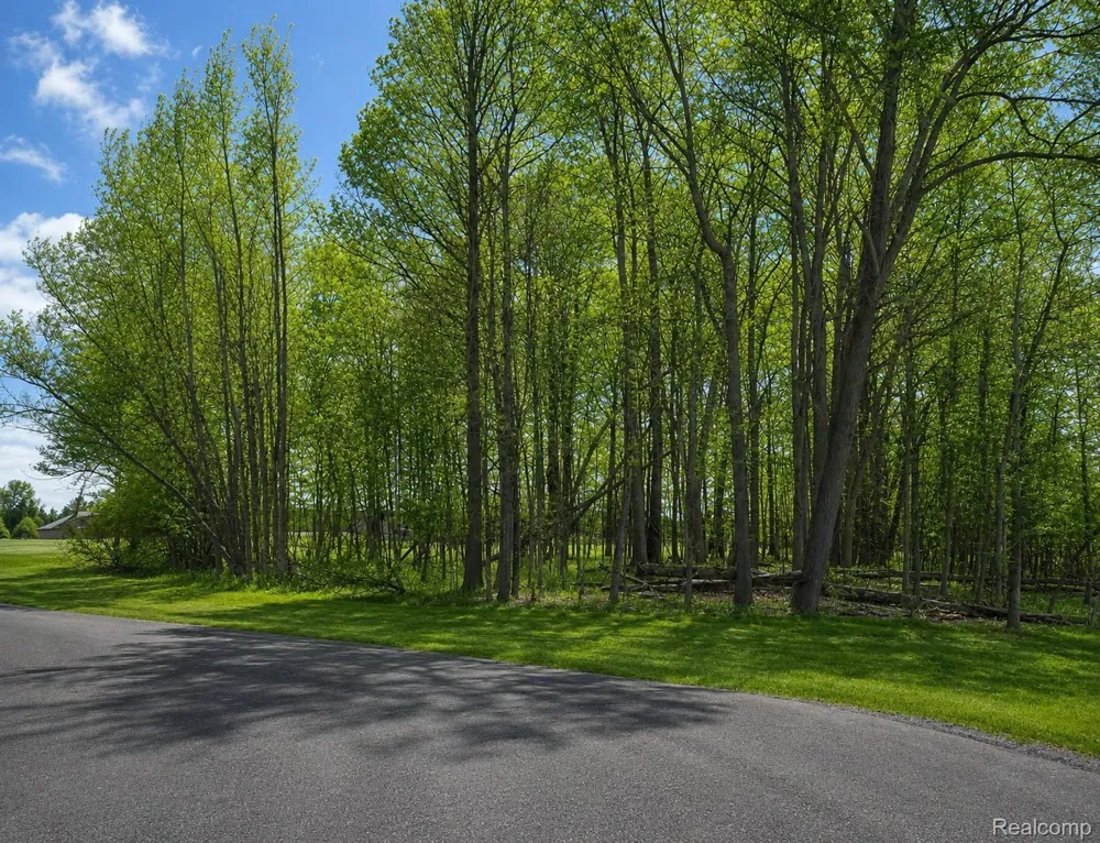 4171 BELLE RIDGE DRIVE Dryden Township, MI 48428