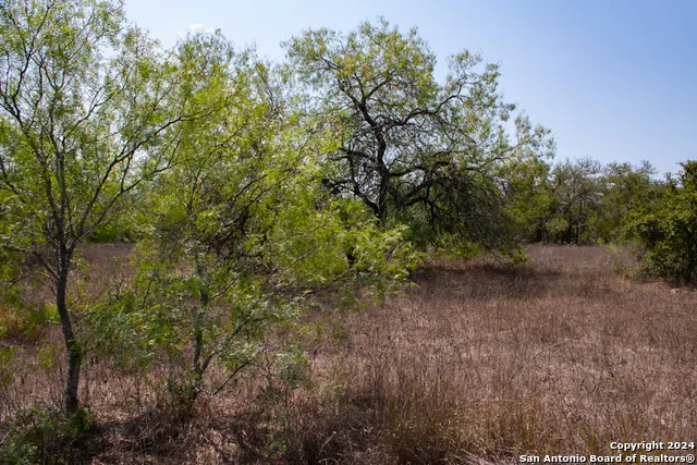 TRACT 2 West King Lane Beeville, TX 78142