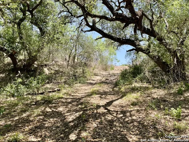 TRACT 2 West King Lane Beeville, TX 78142