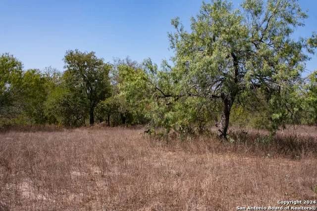 TRACT 2 West King Lane Beeville, TX 78142