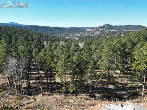 1410 Red Haven Place
