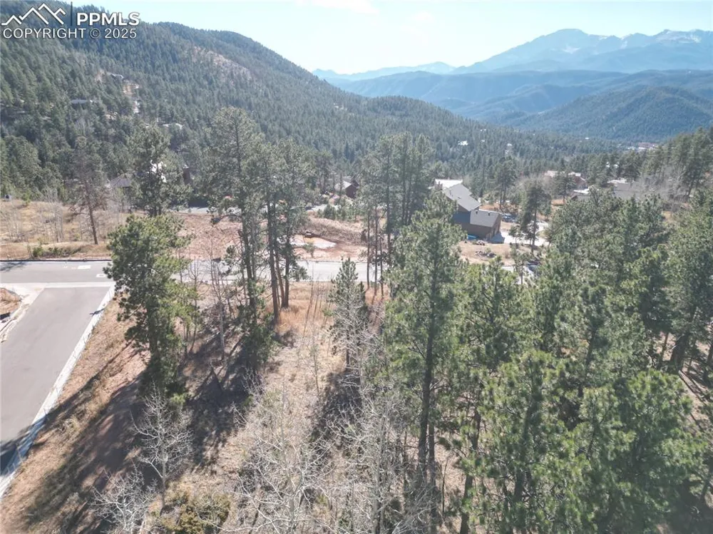 1310 Blue Haven Place Woodland Park, CO 80863