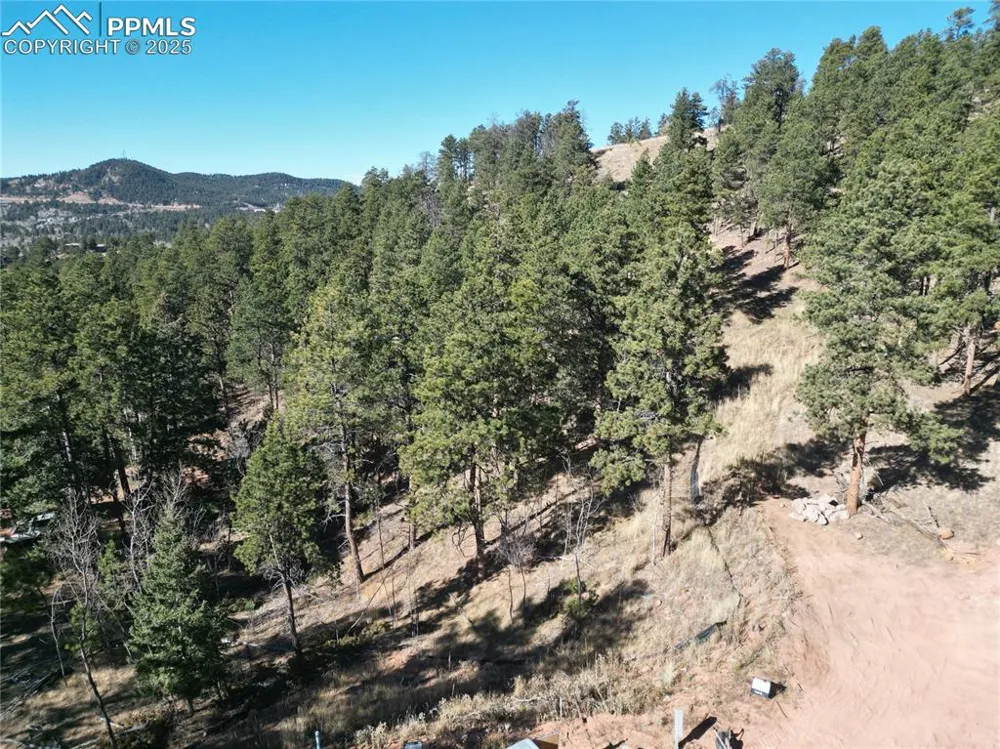 1420 Red Haven Place Woodland Park, CO 80863