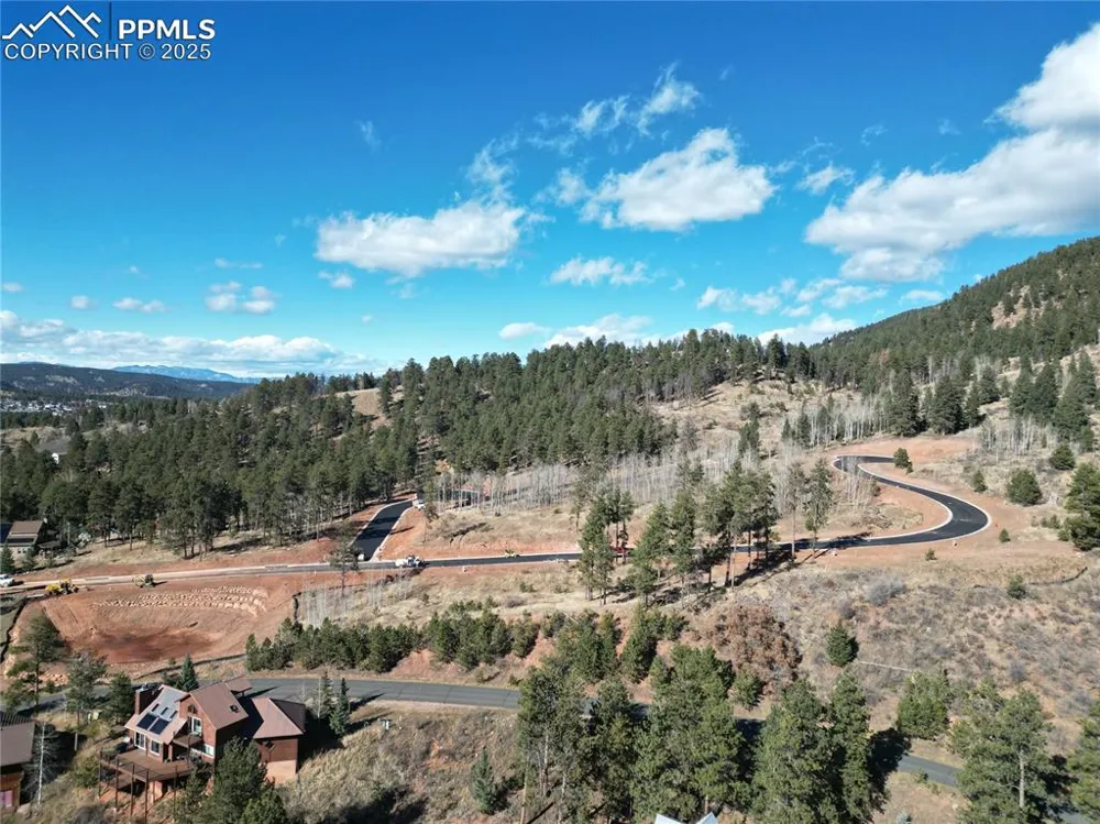 1420 Red Haven Place Woodland Park, CO 80863