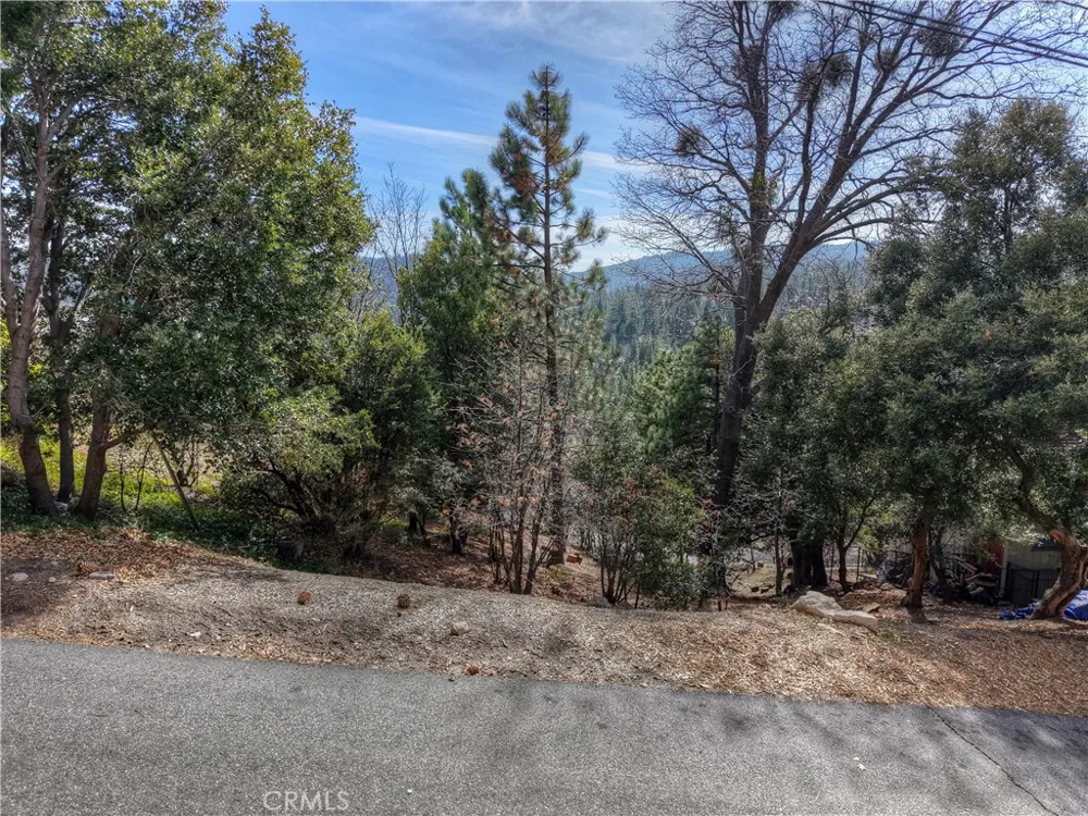 841 Madera Lane Lake Arrowhead, CA 92352
