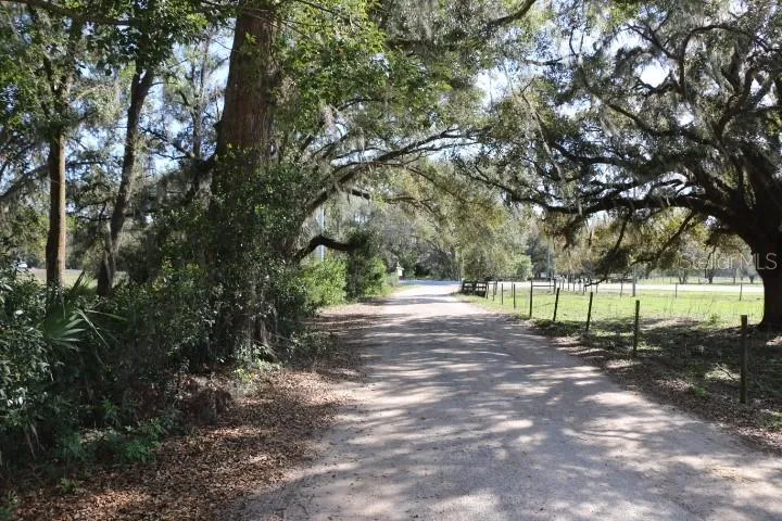 CR 48 Bushnell, FL 33513