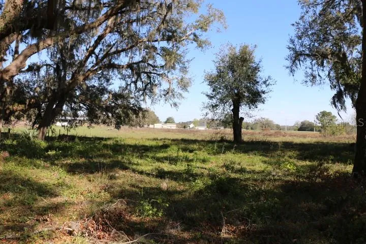 CR 48 Bushnell, FL 33513