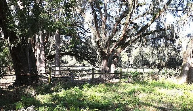 CR 48 Bushnell, FL 33513