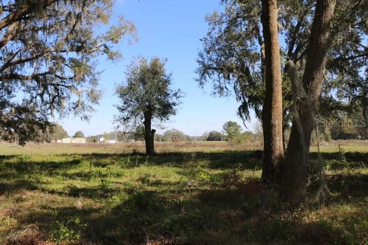 CR 48 Bushnell, FL 33513