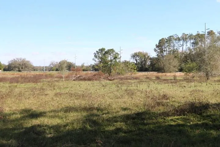 CR 48 Bushnell, FL 33513