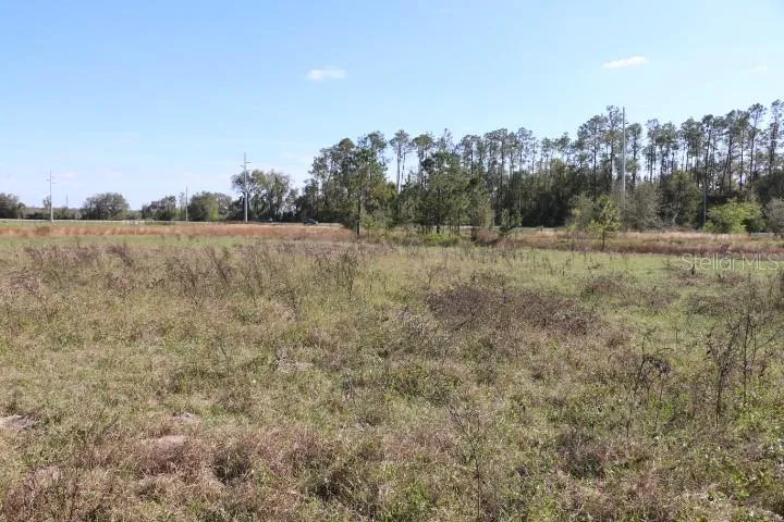 CR 48 Bushnell, FL 33513