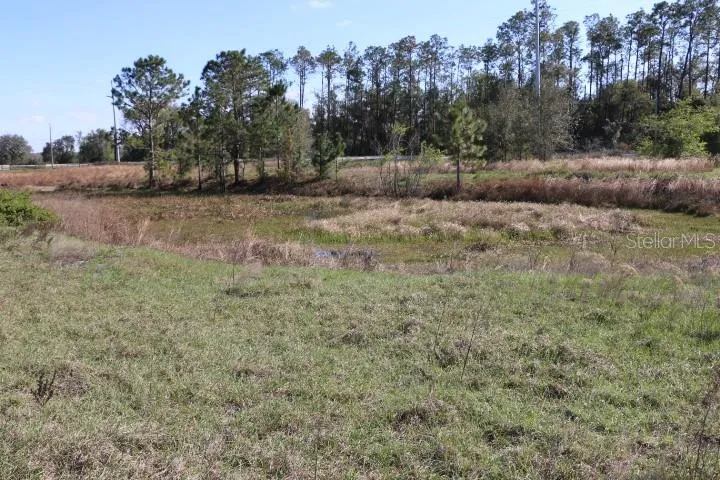 CR 48 Bushnell, FL 33513