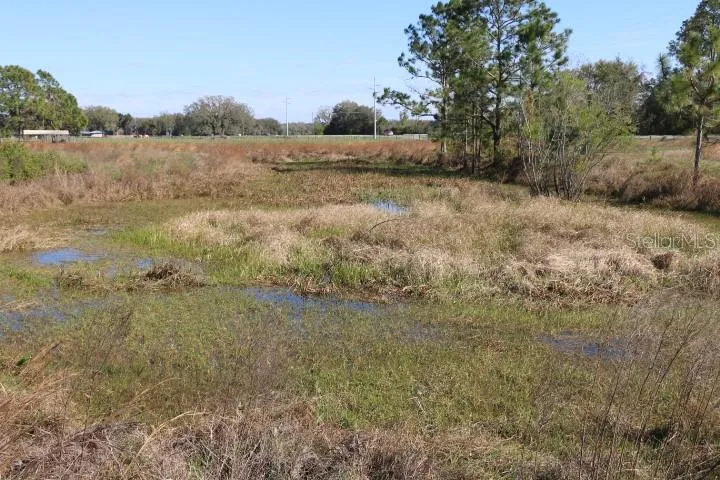 CR 48 Bushnell, FL 33513