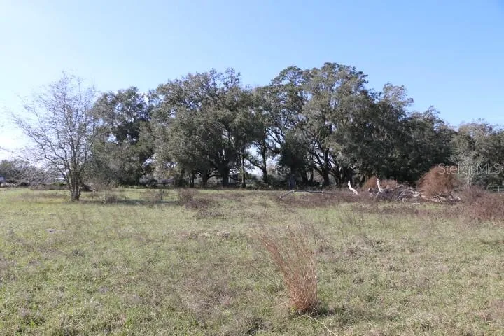 CR 48 Bushnell, FL 33513