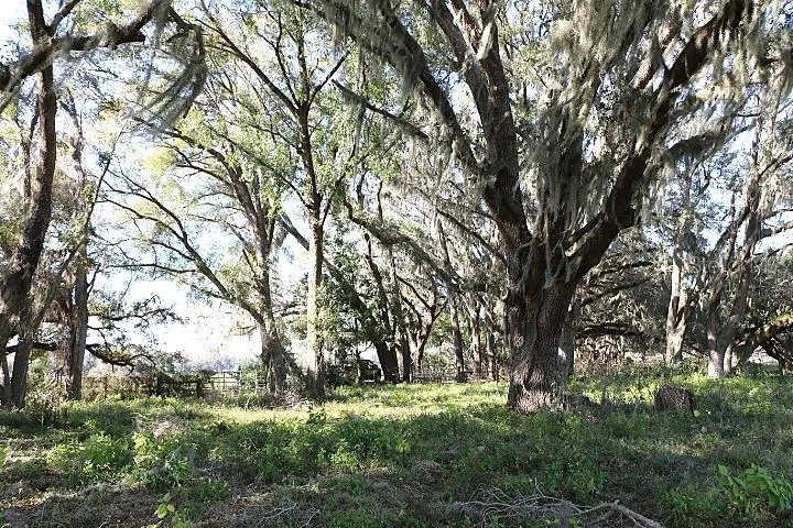CR 48 Bushnell, FL 33513