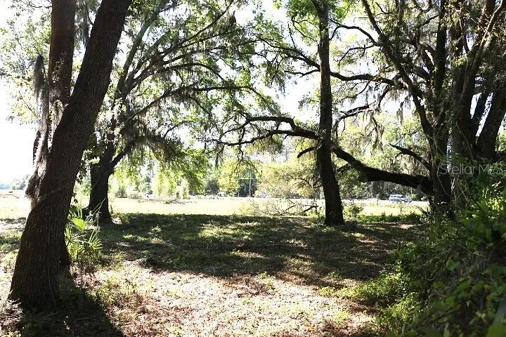 CR 48 Bushnell, FL 33513