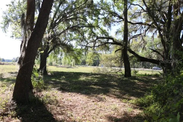 CR 48 Bushnell, FL 33513